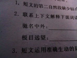 驰名中外的意思是啥，驰名中外的意思近义词反义词