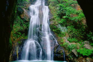 大龙湫记，大龙湫景区
