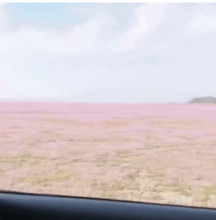 d6268是在南昌西还是南昌站，D6268线路图
