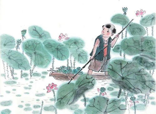 采莲是怎么解释