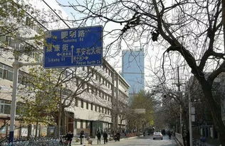 男生说指条明路是什么意思