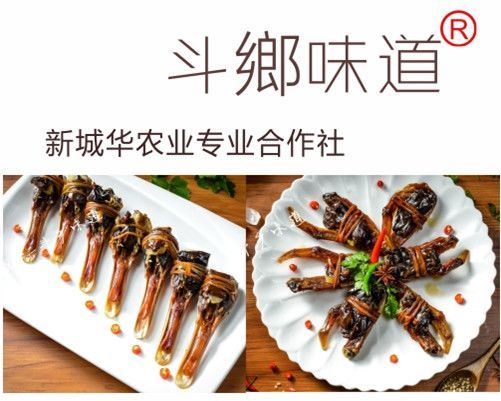 斗香的引证解释斗香的引证解释是什么