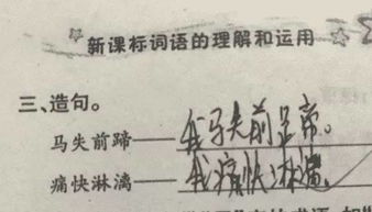 毕竟造句