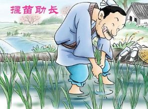 揠苗助长的意思?