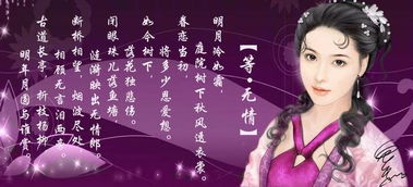 是夜是什么意思解释，夜是什么意思文言文