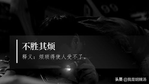 引人入胜的胜是什么意思，不胜其烦是什么意思