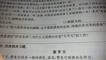 朴实无华意思解释