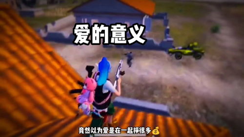 酷爱的意思