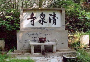游蕲水清泉寺苏轼，游蕲水清泉寺那部分叫什么