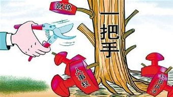 一把手什么责任,贯彻落实相关职能，一把手政治画像报告