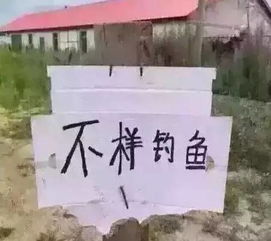 琴声悠扬的意思，旋律悠扬的意思