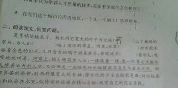 表示动作的词语有哪些?