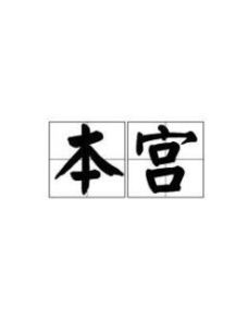 本宫是什么意思