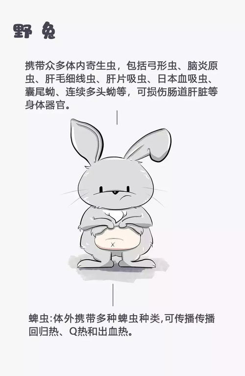 蹭蹬的拼音