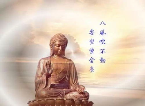 弗是什么意思文言文，阿弥陀佛是什么意思