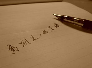 风流惆怅什么意思，有点惆怅什么意思