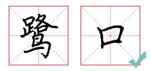 过笔顺笔画顺序