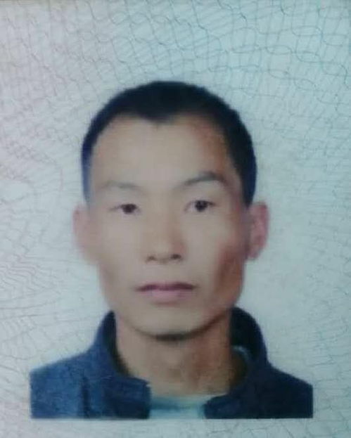 山火会带来哪些危害?