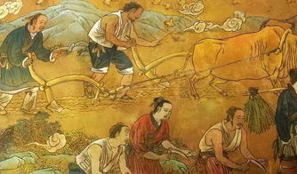 解甲归田的近义词，解甲归田中的解是什么意思