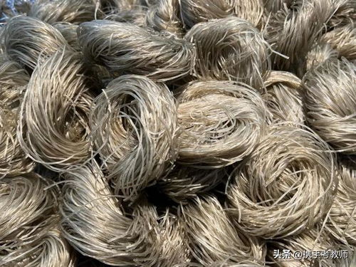 苕怎么读烤苕皮的拼音，荔怎么读拼音是什么