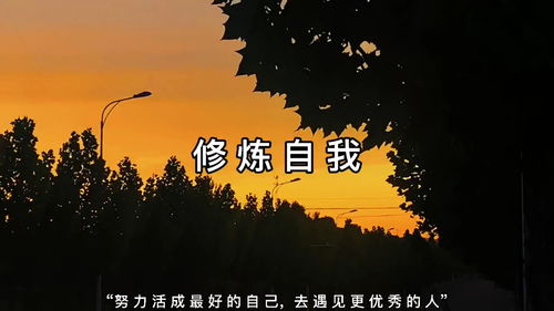 颠沛流离是什么意思?