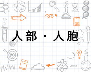 紫河车的结构紫河车的结构是什么
