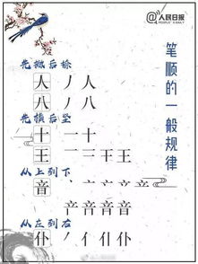 越笔顺笔画，趣笔顺笔画顺序表