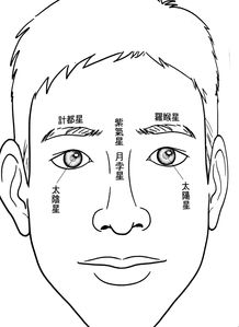 面面相觑的觑，面面相觑的近义词是什么