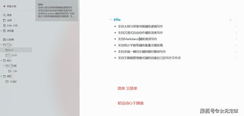 大纲的解释