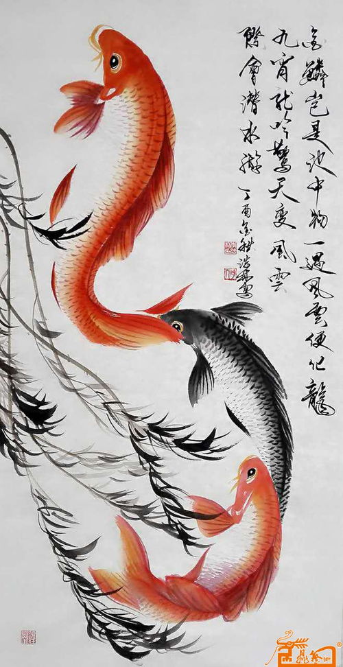 金鳞的解释