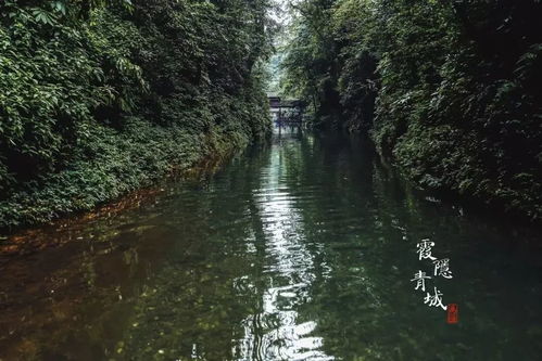 斗折蛇行是什么意思?斗折蛇行成语造句和典故