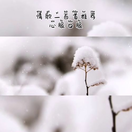 心服的服是什么意思，心什么服什么成语大全