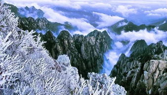 “淞”这个字的读音是什么?意义是什么?