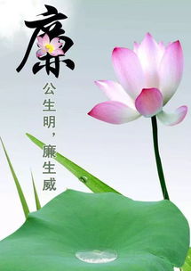 诚心的意思诚心的意思是什么