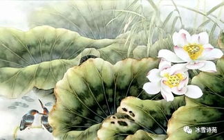 采莲赋，采莲南塘秋