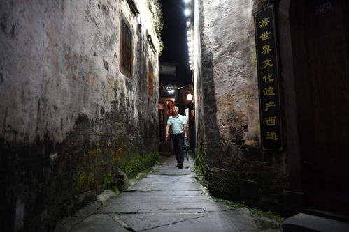 万人空巷是什么意思的生肖动物，万人空巷是什么意思解释