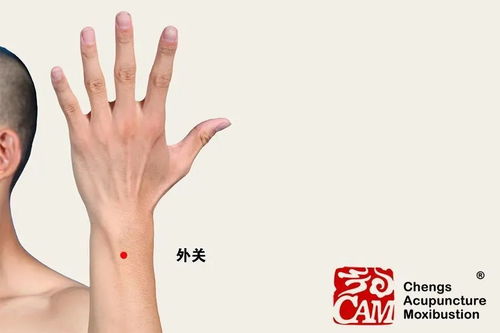 厥阴是什么意思