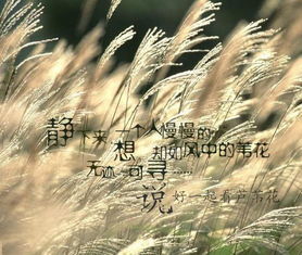 无迹可寻什么意思