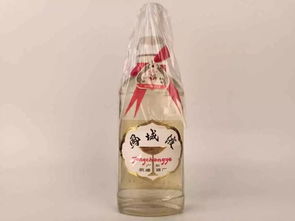 酾酒临江怎么读，酾酒临江的酾酒是什么意思