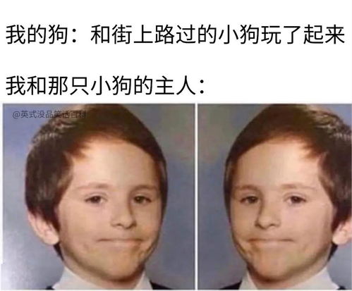 面面相觑的意思是什么?