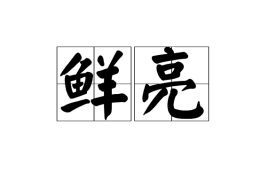 鲜亮的颜色，鲜亮的春联搭配正确吗