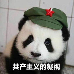 凝的拼音，骤然的拼音