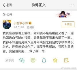 征服的意思