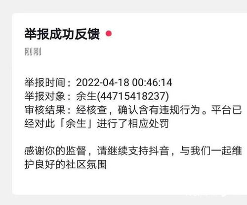 同担和自担