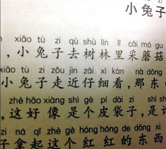 “仔”的拼音是什么?