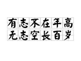 有志不在年高的下一句是什么 百度网盘，有志不在年高的意思