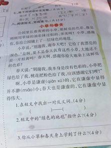春的反义词是什么?