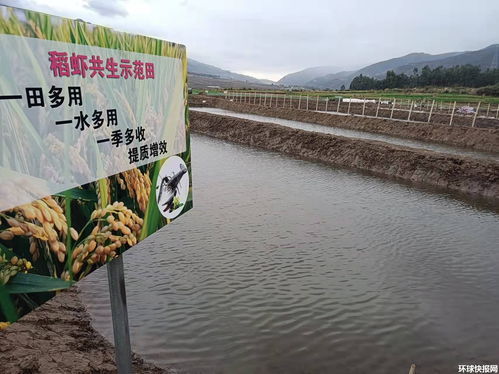 因地制宜是什么意思