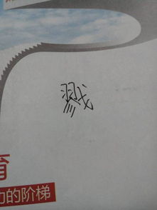 “杂”的组词是什么?