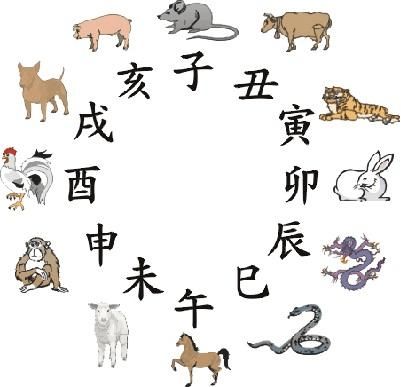 十二生肖怎么读?